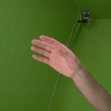 Input Image 1